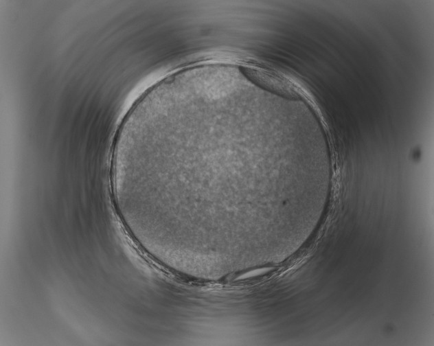 X0000114611146200912010931