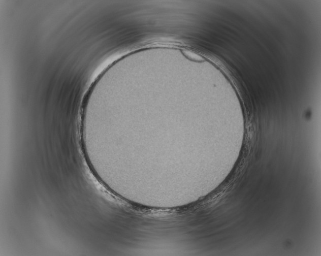 X0000114611147200912010931