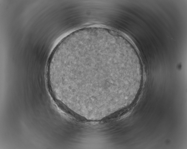 X0000114611149200912010931