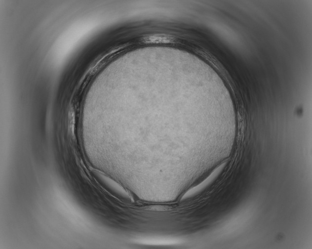 X0000114611151200912010931