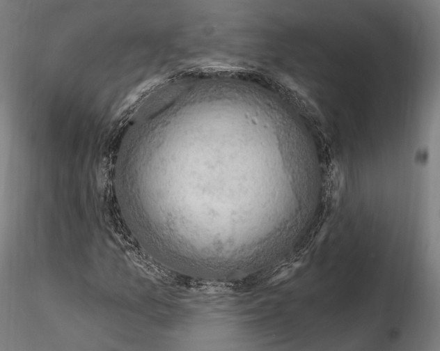 X0000114611157200912010930