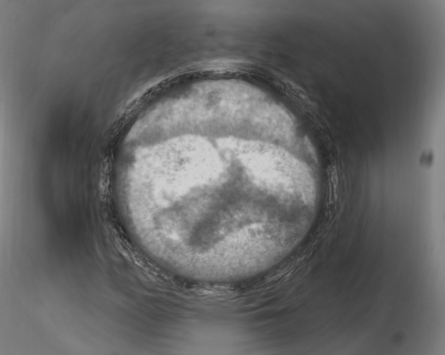 X0000114611158200912010930