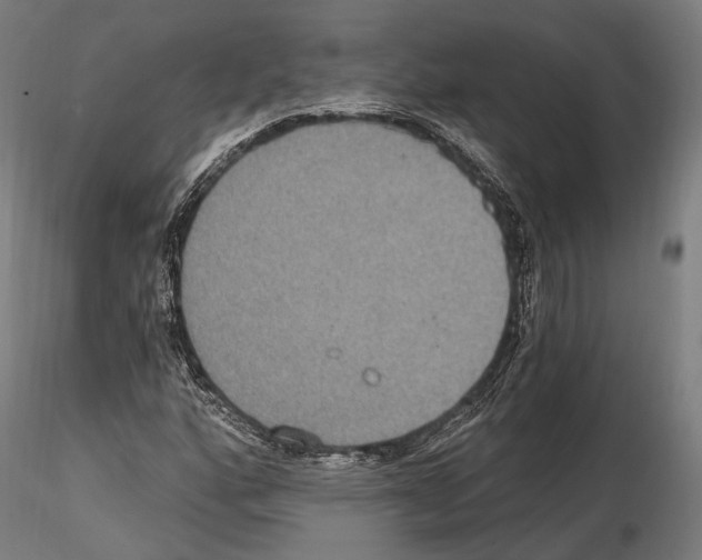 X0000114611160200912010930