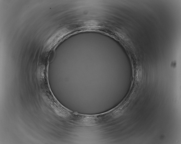 X0000114611161200912010930