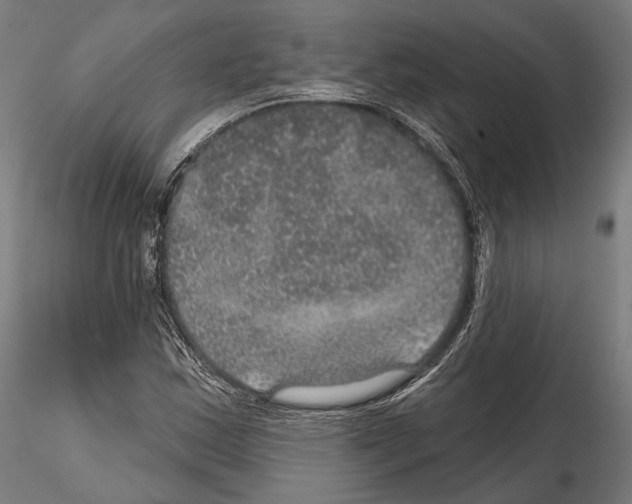 X0000114611163200912010930