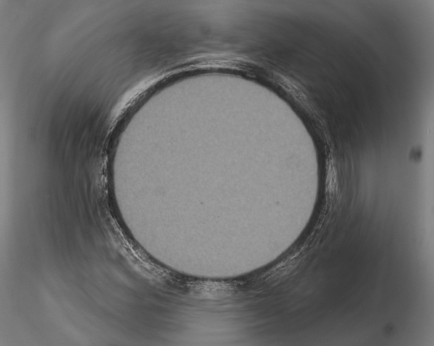 X0000114611164200912010930