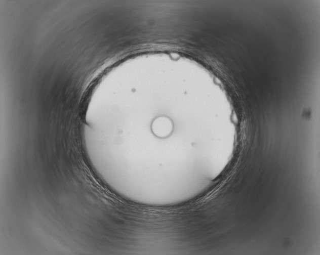 X0000114611165200912010930