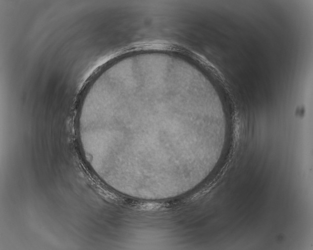 X0000114611166200912010930