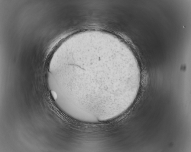 X0000114611167200912010930