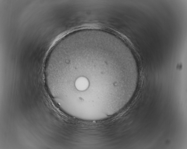 X0000114611168200912010930