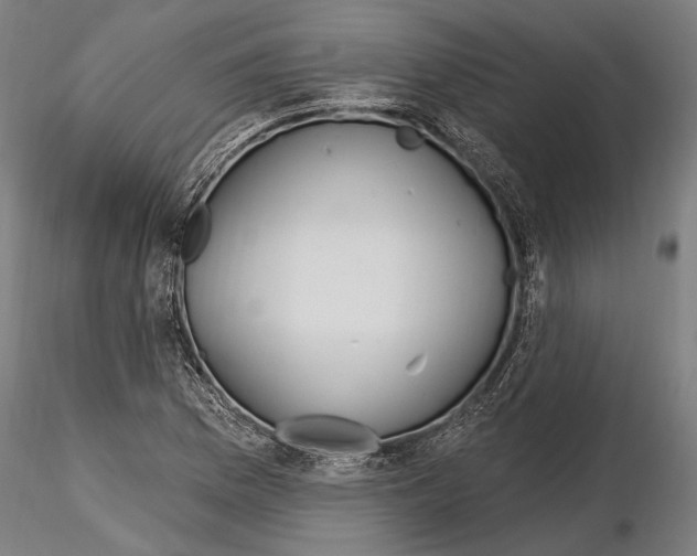 X0000114611169200912010930