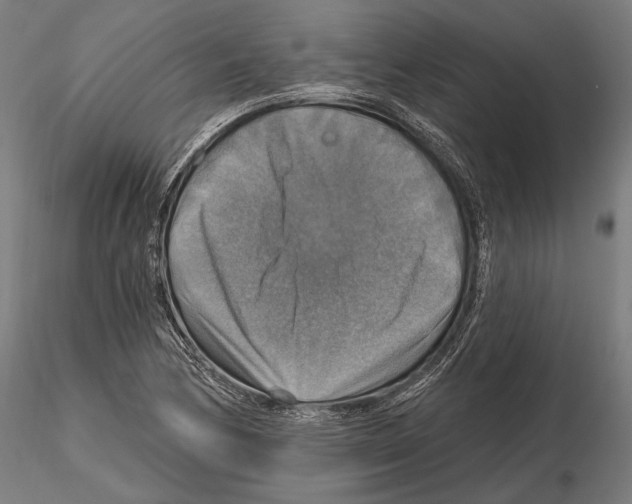 X0000114611170200912010930