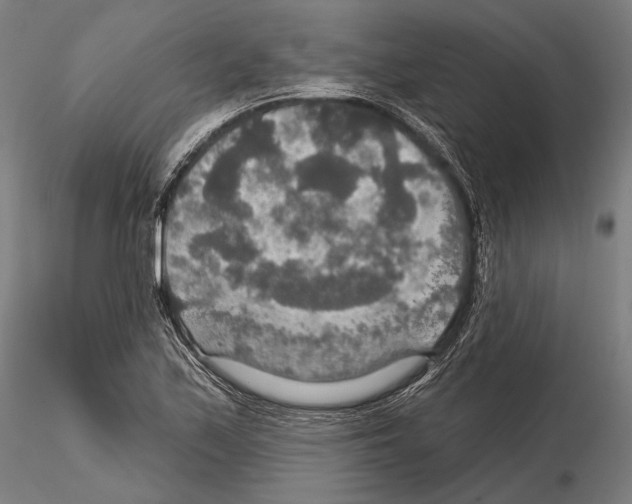 X0000114611171200912010930