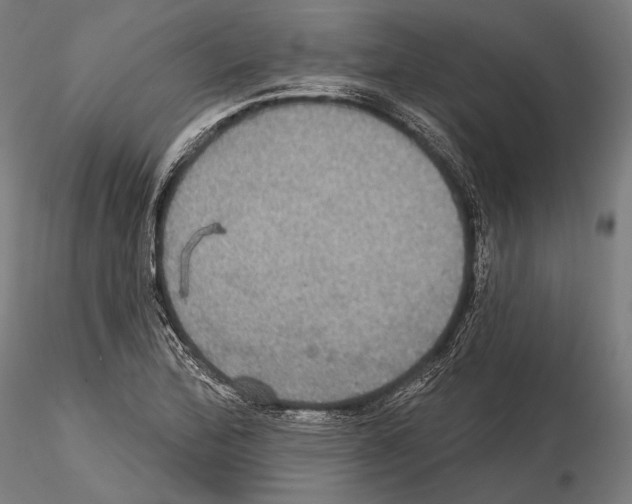 X0000114611172200912010930