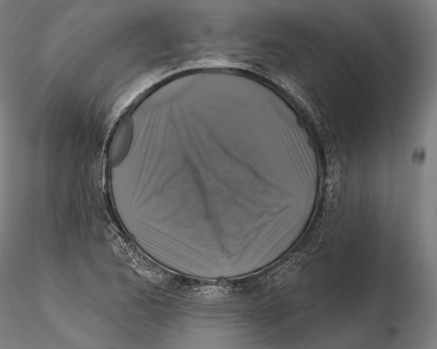 X0000114611173200912010930