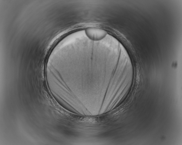 X0000114611174200912010930