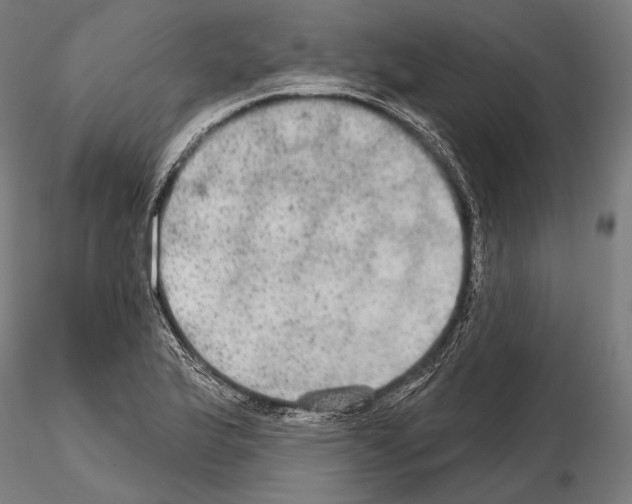 X0000114611175200912010930