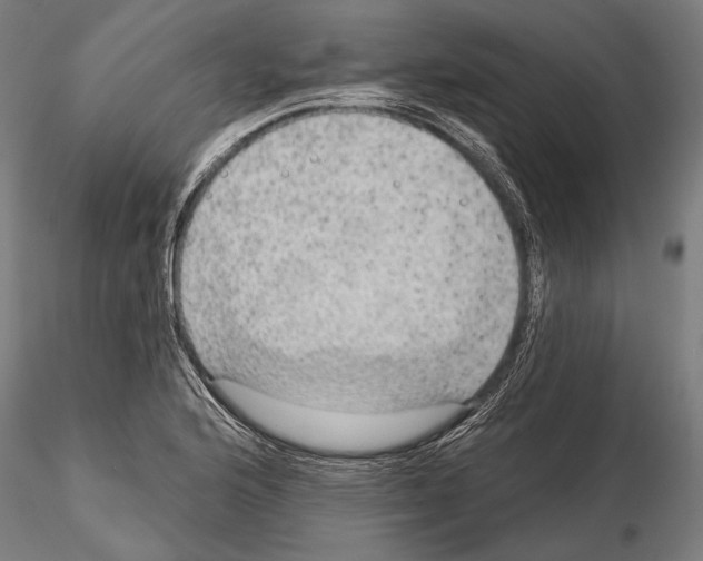 X0000114611176200912010930