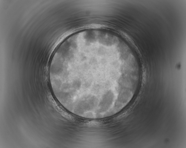 X0000114611178200912010930