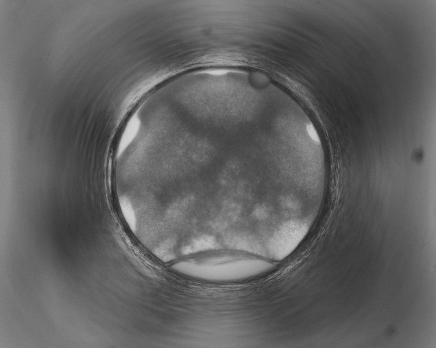 X0000114611179200912010930