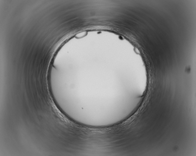 X0000114611181200912010930