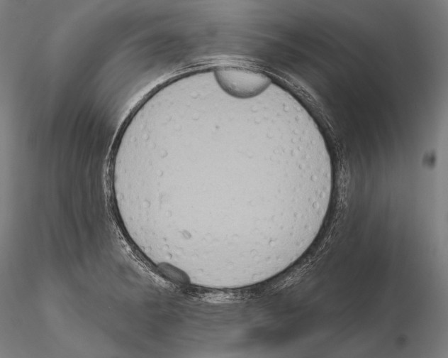 X0000114611182200912010930