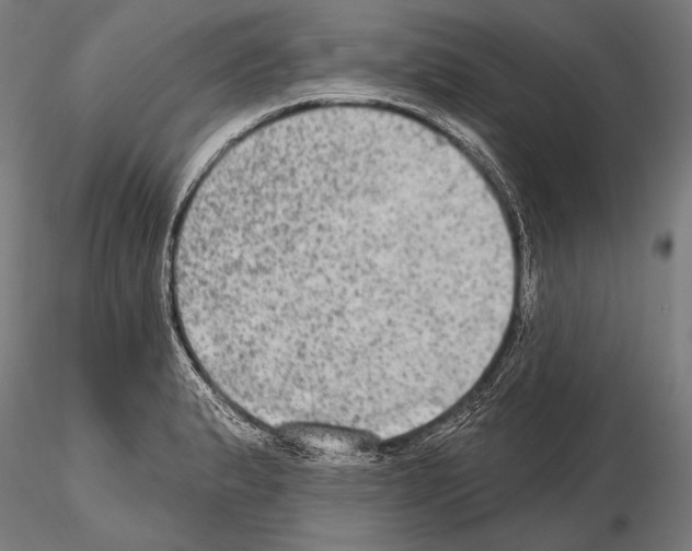 X0000114611183200912010930