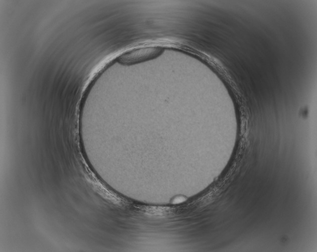 X0000114611184200912010930