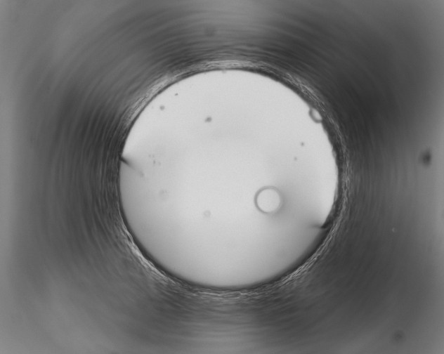 X0000114611185200912010930