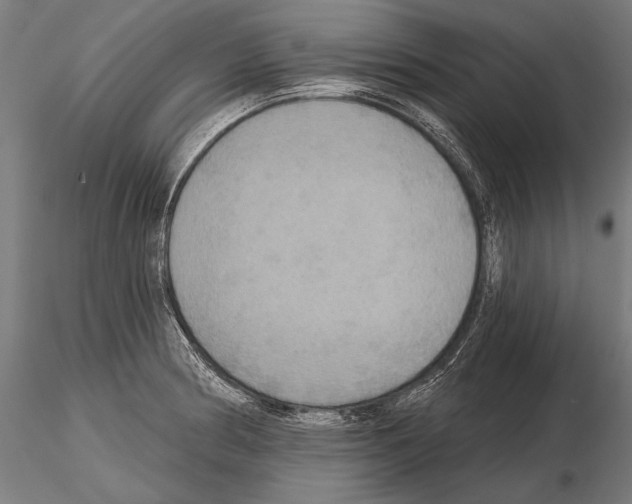 X0000114611186200912010930