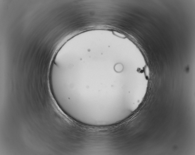 X0000114611187200912010930