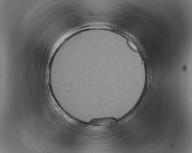 X0000114611188200912010930