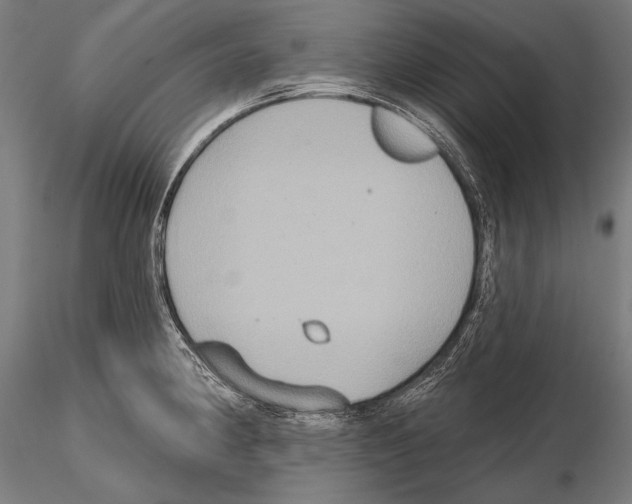 X0000114611190200912010930