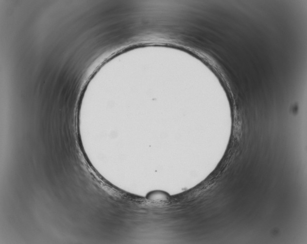 X0000114611191200912010930