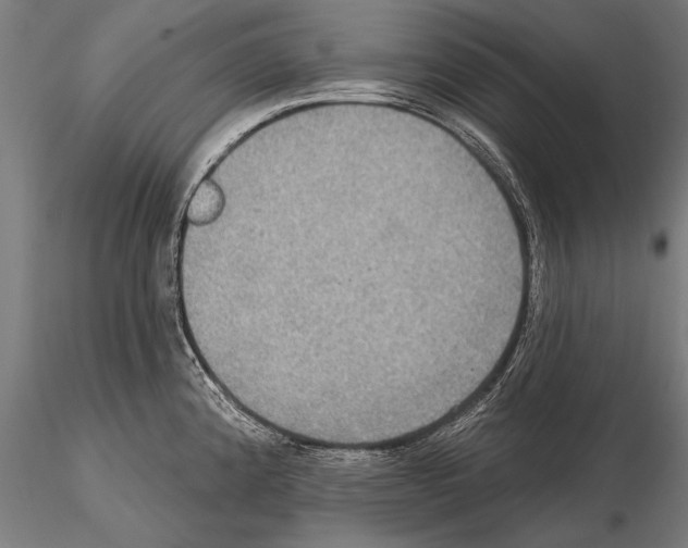 X0000114611192200912010930