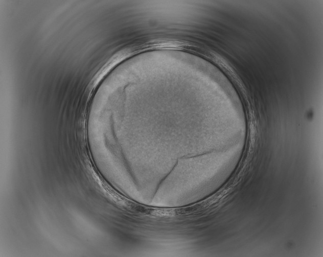 X0000114611194200912010930