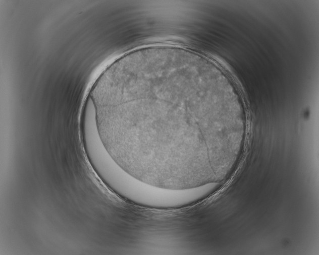 X0000114611196200912010930