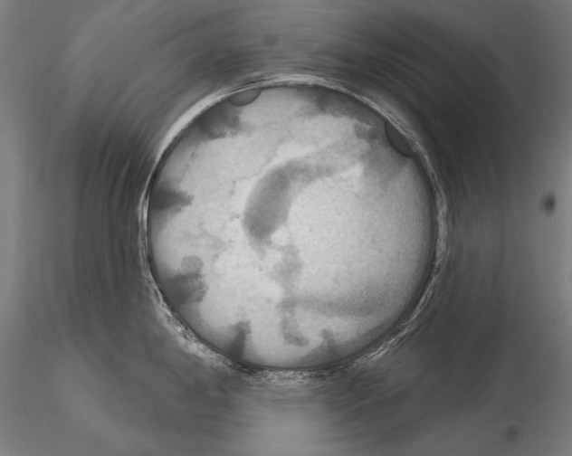 X0000114611198200912010930