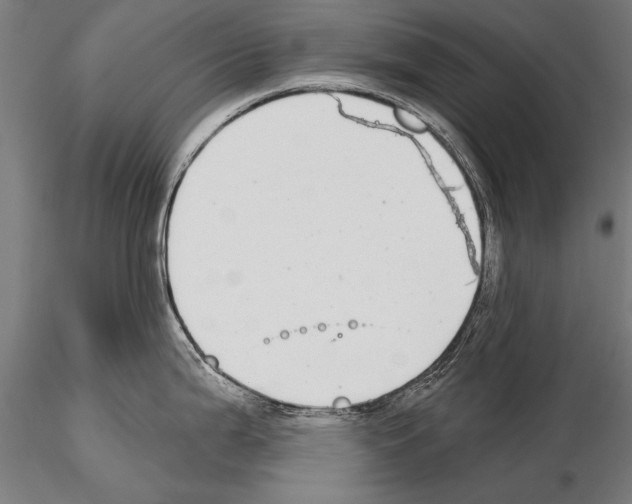 X0000114611199200912010930