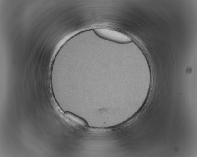 X0000114611200200912010930