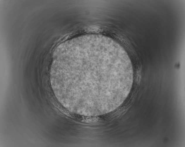 X0000114611201200912010929