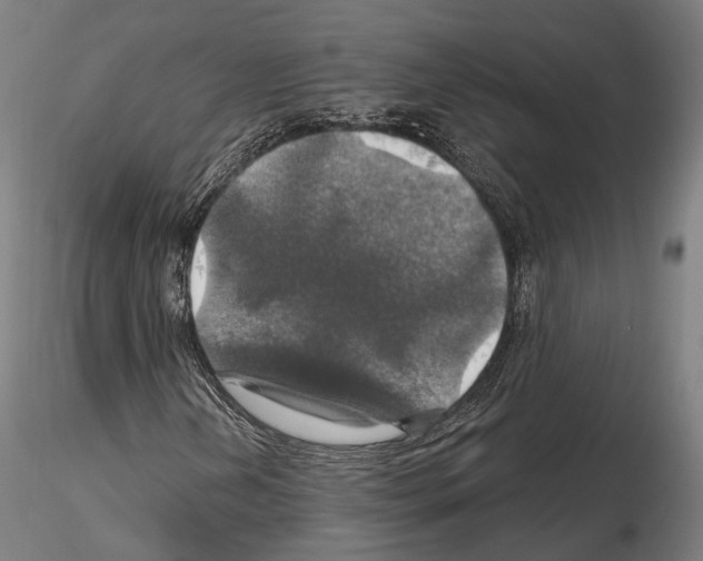 X0000114611202200912010929