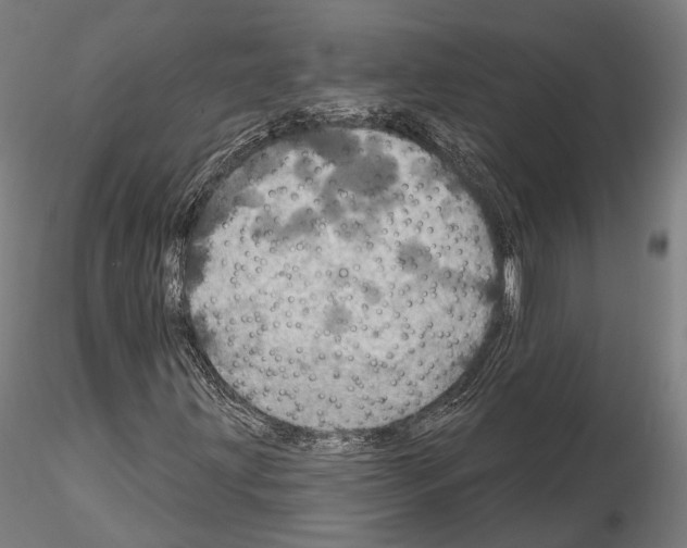 X0000114611203200912010929