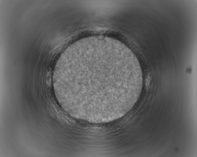 X0000114611204200912010929