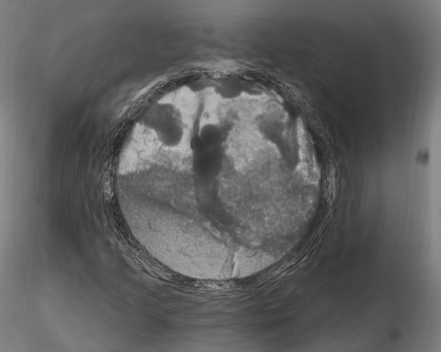 X0000114611205200912010929