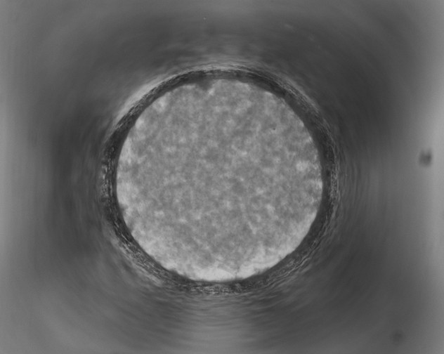 X0000114611208200912010929