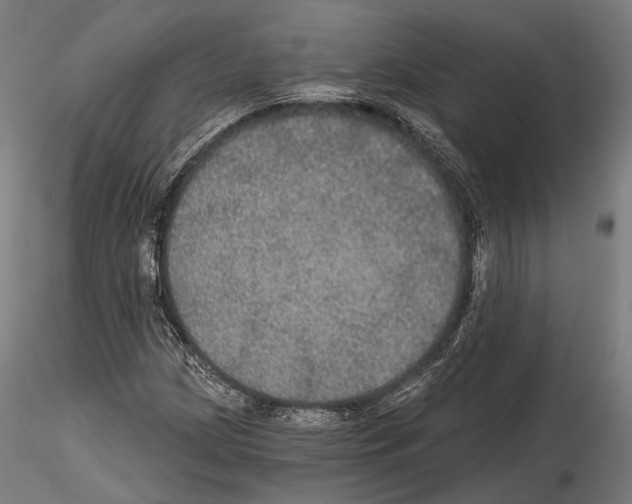 X0000114611209200912010929