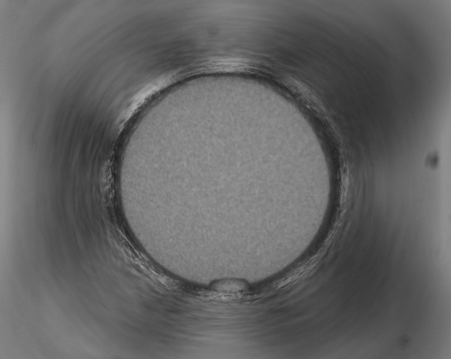 X0000114611210200912010929