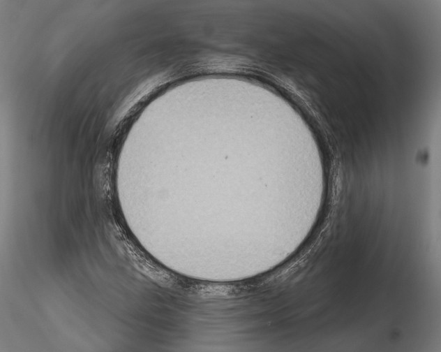 X0000114611211200912010929