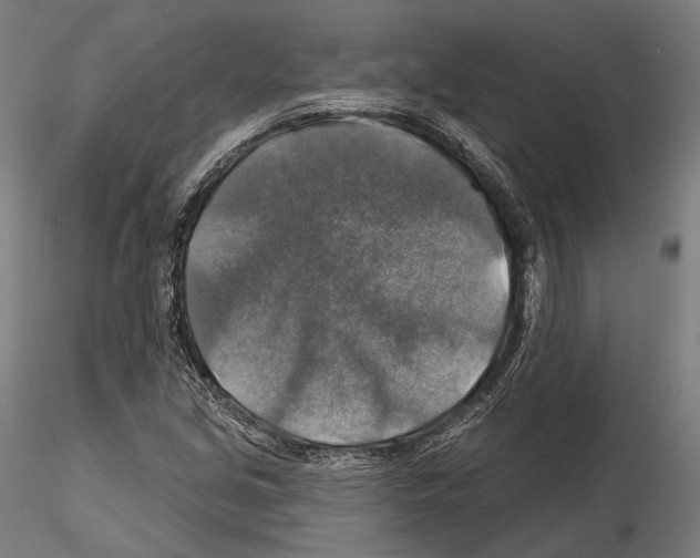 X0000114611213200912010929